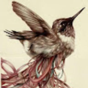 Meet your Posher, Irene